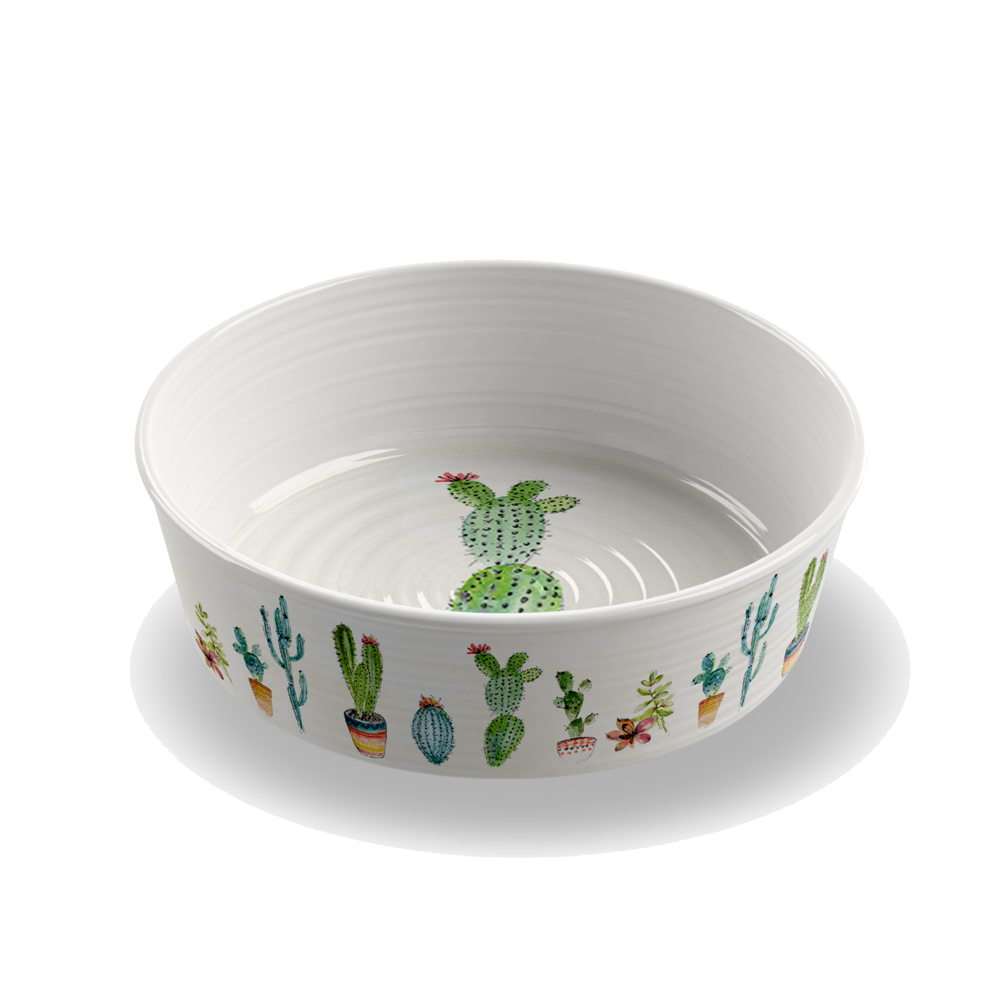 Cactus Pet Bowl - Medium